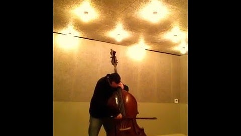 DITTERSDORF FLEXOCORD PIRASTRO string. Damián Rubido González, bass. Follow the links for+strings