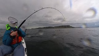 Kayak Fishing for Bottomfish at Double Bluff