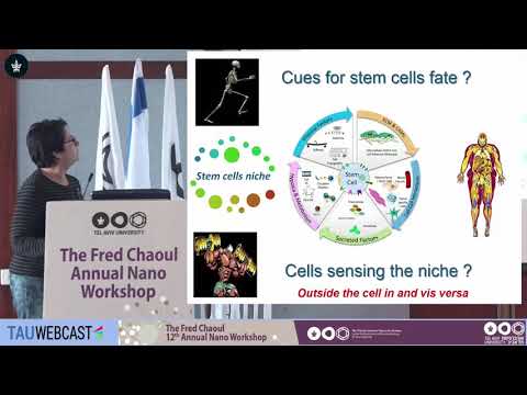 Mesenchymal Stem Cells and Differentiation Fate