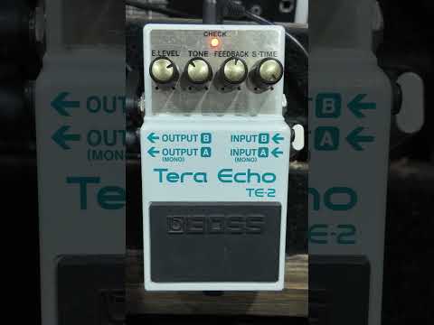 Boss TE-2 Terra