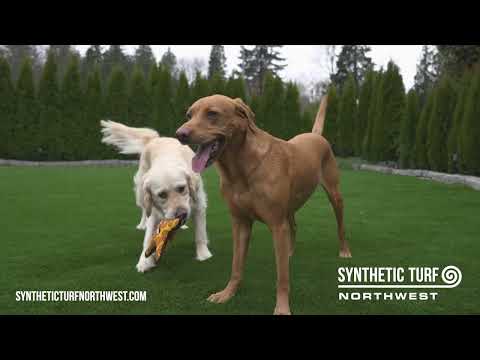 Synthetic Turf Northwest