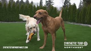 Synthetic Turf Northwest - Unmatched Quality, Locally Owned
