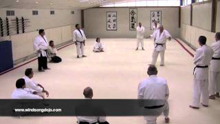 Kangeiko Day 3 Aikido-Balance Break Analysis 2.mov