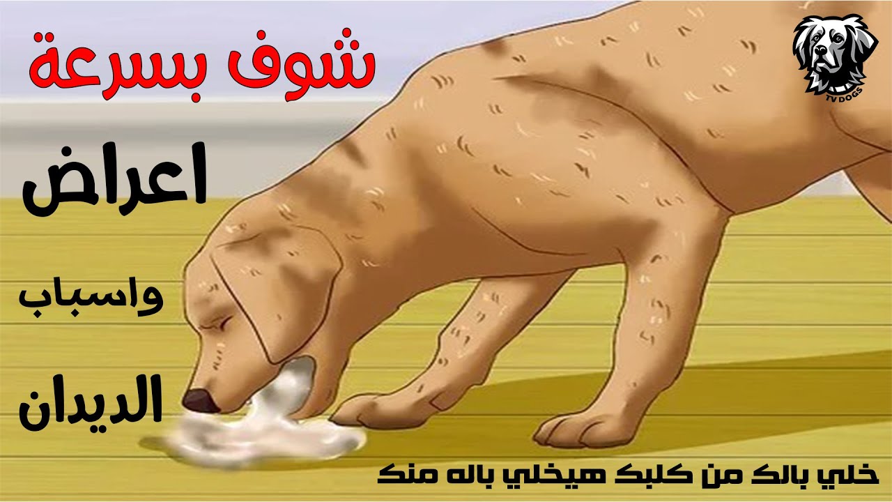 اعراض و اسباب الديدان عند الكلاب والوقاية منها / سامر غازي