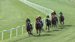 2023.09.02. 3. Futam-Kincsemtutikovács Mihály Emlékverseny- Magyar Háromévesek Nagydíja Hun Gd-2