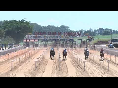 Vídeo: Torneio Especial Haras Portofino