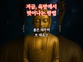욕망은 채워지지 않는 불길입니다 #명언 #오디오북 #부처님말씀