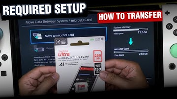 New Micro SD First Install | Nintendo Switch