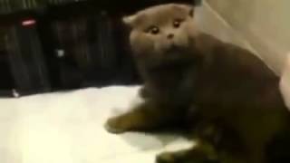порно приколы приколы видео смотреть онлайн приколы над людьми прикол дня голы приколы порно приколы приколы видео смотреть онлайн приколы над людьми прикол дня голы приколы