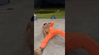 The Evil Twin Got Attacked By The Dog