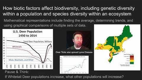Ecosystems- Interactions, Energy, and Dynamics Video 2