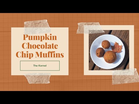 Pumpkin Chocolate Chip Muffin Recipe