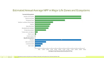 APES Unit 1.8: Primary Productivity