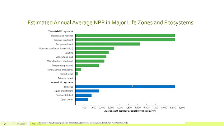 APES Unit 1.8: Primary Productivity