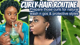 Curly Hair Routine| Wash n Go Tutorial 4b/4c| Hair Transformation | Mint Hair Mask| Gardened Coils