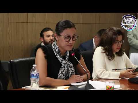 Fracasa Izcalli en atención a la violencia contra la mujer : Joanna Felipe Torres