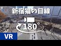 【LIVE(VR)】新宿猫の目線（新宿駅東口） ライブカメラ