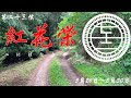 紅花栄