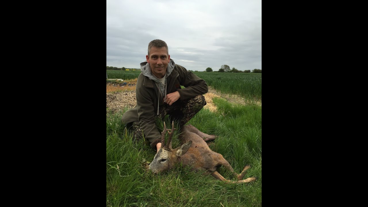 стрельба в америке Bukkejagt 16 Maj 2015 på Thygesminde. / Roe buck hunting 2015.