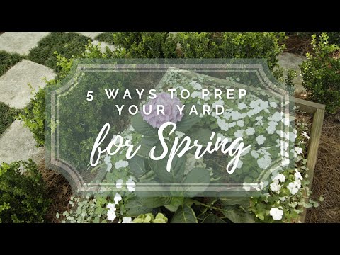 How to Prep Your Yard for Spring | Catherine Arensberg