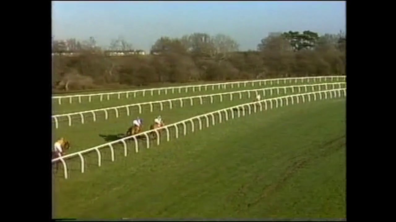 1991 Bic Razor Novice Chase Kempton