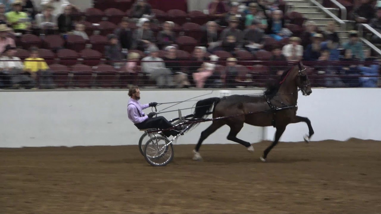 Oops We Did It Again