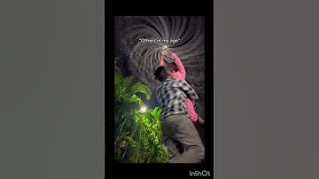 #tech #javascript #reels #youtubeshorts #google #ai #subscribe