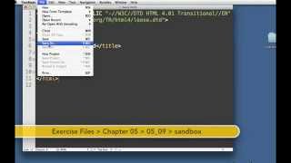 09 Exploring Data Types Boolean