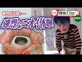 この花の正体は？👃【動物科学館】