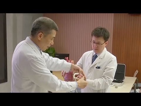 China's self-developed artificial heart undergoes successful tests