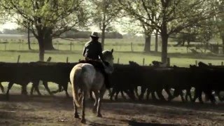 Estancia El Ombu de Areco