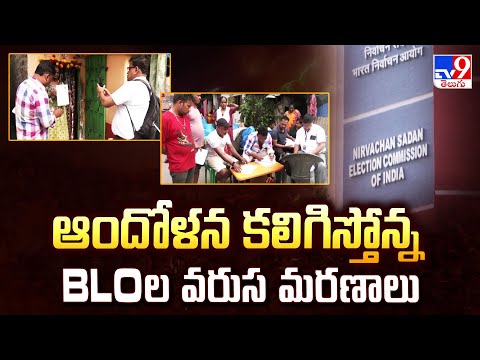ఆందోళన కలిగిస్తోన్న BLOల వరుస మరణాలు - TV9 - TV9
