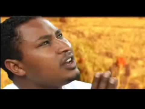 ምክንያቴ ብዙ ነዉ