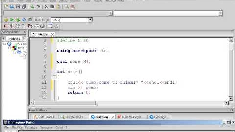 Tutorial 23 - Vettori di caratteri (C++)
