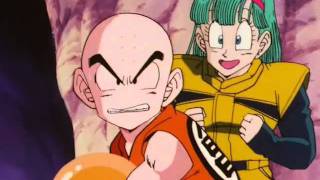 TFS DBZ Abridged - Kill it with Fire