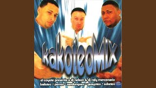 Voy Cazando (Remix)