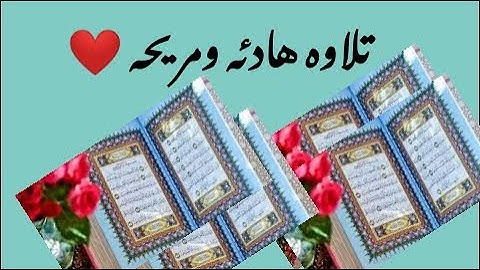 تلاوات مختارات// للقارئ الذي فاجئ ا لجميع القطامي المصري حسن محمود الخولي،❤️💦