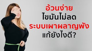 9 วิธีง่ายๆ แก้ระบบเผาผลาญพัง สำหรับผู้หญิง