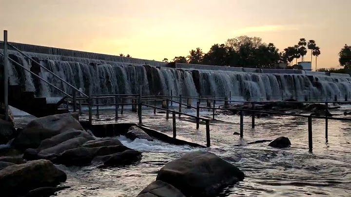 Kodivery Dam- Kaanum Pongal day