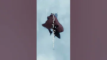 Don T Wanna Live As An Untold Story Harry Potter Harrypotter Hogwarts 