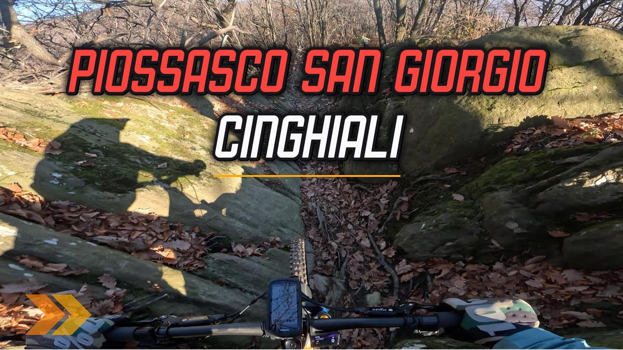 Piossasco Monte San Giorgio CINGHIALI