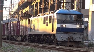 【4K】JR山陽本線　EF210-10号機牽引　5056レ貨物列車