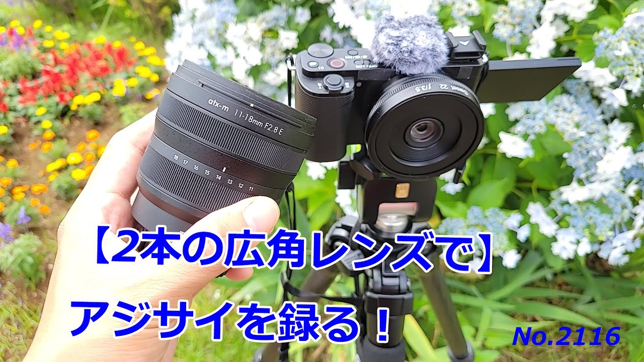 2本の広角レンズで】アジサイを録る！（動画No.2116） - YouTube
