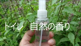 トイレ自然の香りになる！  芳香剤の強い香り息苦しくて