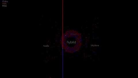 Irrlicht - code_swarm