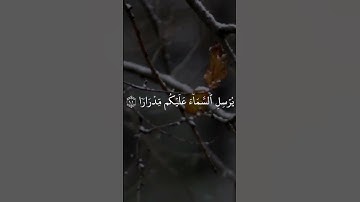 اكتب شيء تؤجر عليه ❤️#قرآن #قران_كريم #تلاوة_خاشعة #ماهر_المعيقلي