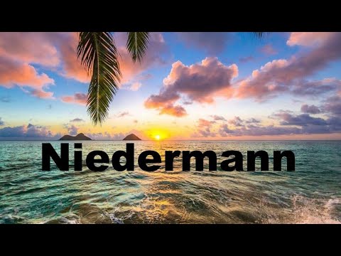 Ronald Niedermann VS cops