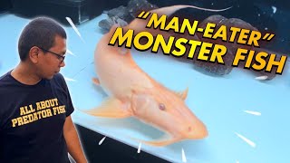 ONE OF THE RAREST MONSTER FISH IN THE WORLD