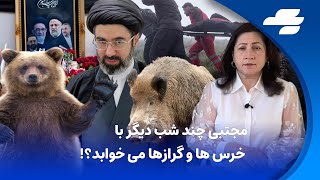 با فرزانه روستایی: مجتبی چند شب دیگر با خرس ها و گرازها می خوابد !؟