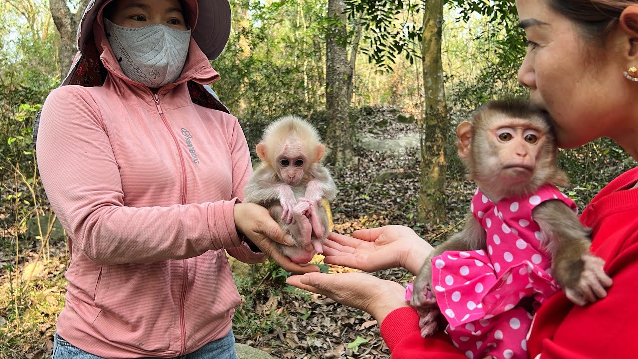 Tina and her mother rescued the poor abandoned baby monkey.